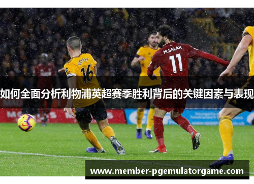 如何全面分析利物浦英超赛季胜利背后的关键因素与表现