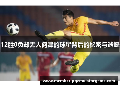 12胜0负却无人问津的球星背后的秘密与遗憾