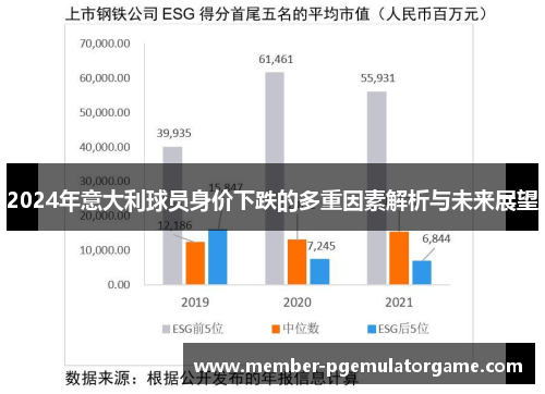 2024年意大利球员身价下跌的多重因素解析与未来展望