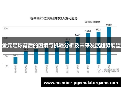 金元足球背后的困境与机遇分析及未来发展趋势展望 金元足球背后的困境与机遇分析及未来发展趋势展望