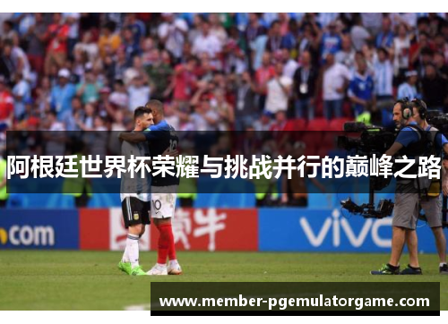 阿根廷世界杯荣耀与挑战并行的巅峰之路 阿根廷世界杯荣耀与挑战并行的巅峰之路